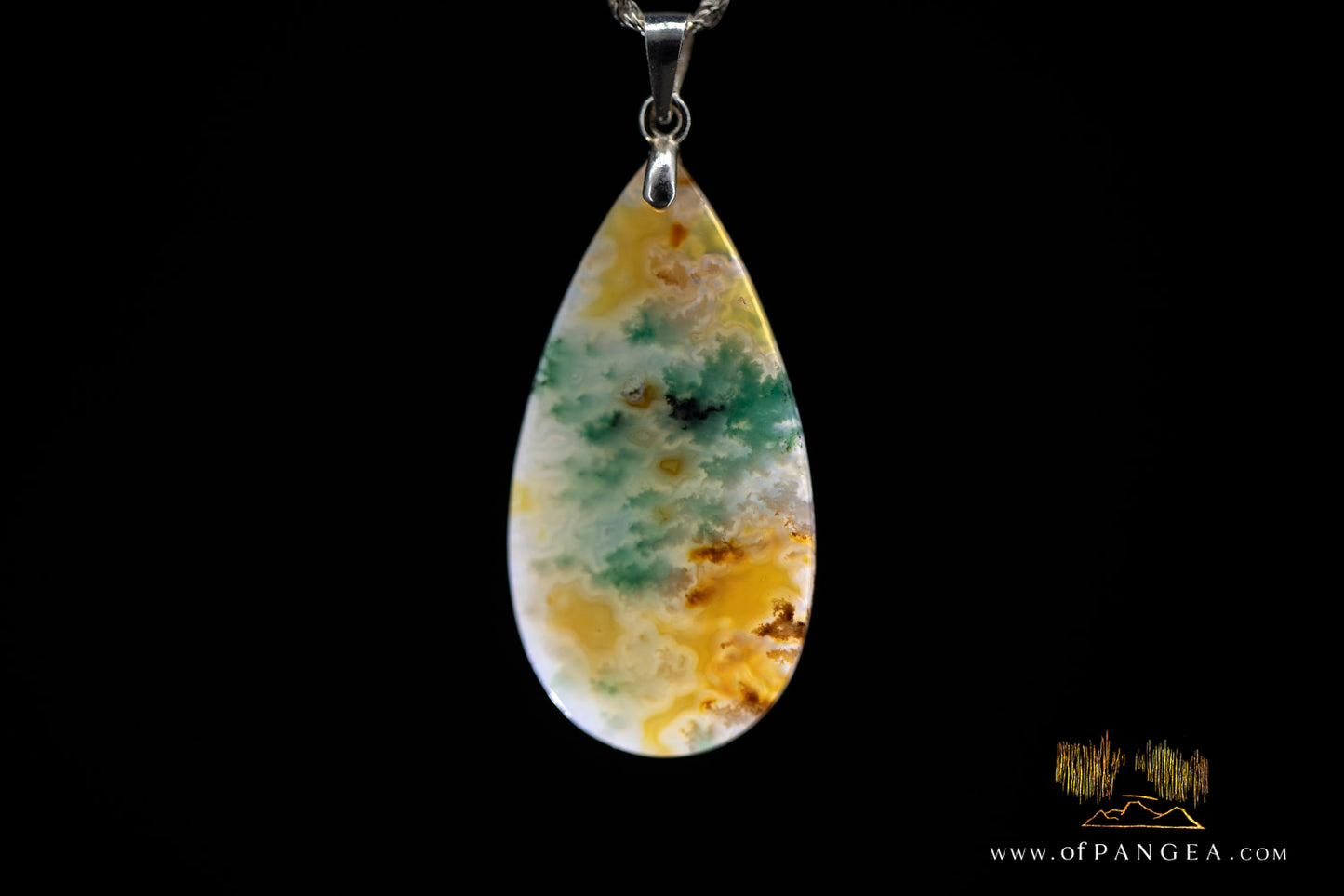 Opalized Petrified Wood Drop Pendant & Italian .925 sterling silver rope chain || JF1178