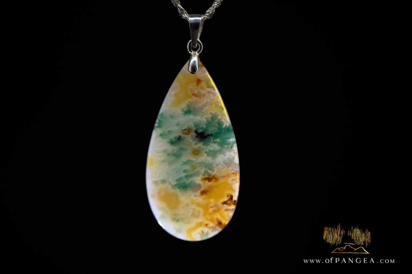 Opalized Petrified Wood Drop Pendant & Italian .925 sterling silver rope chain || JF1178