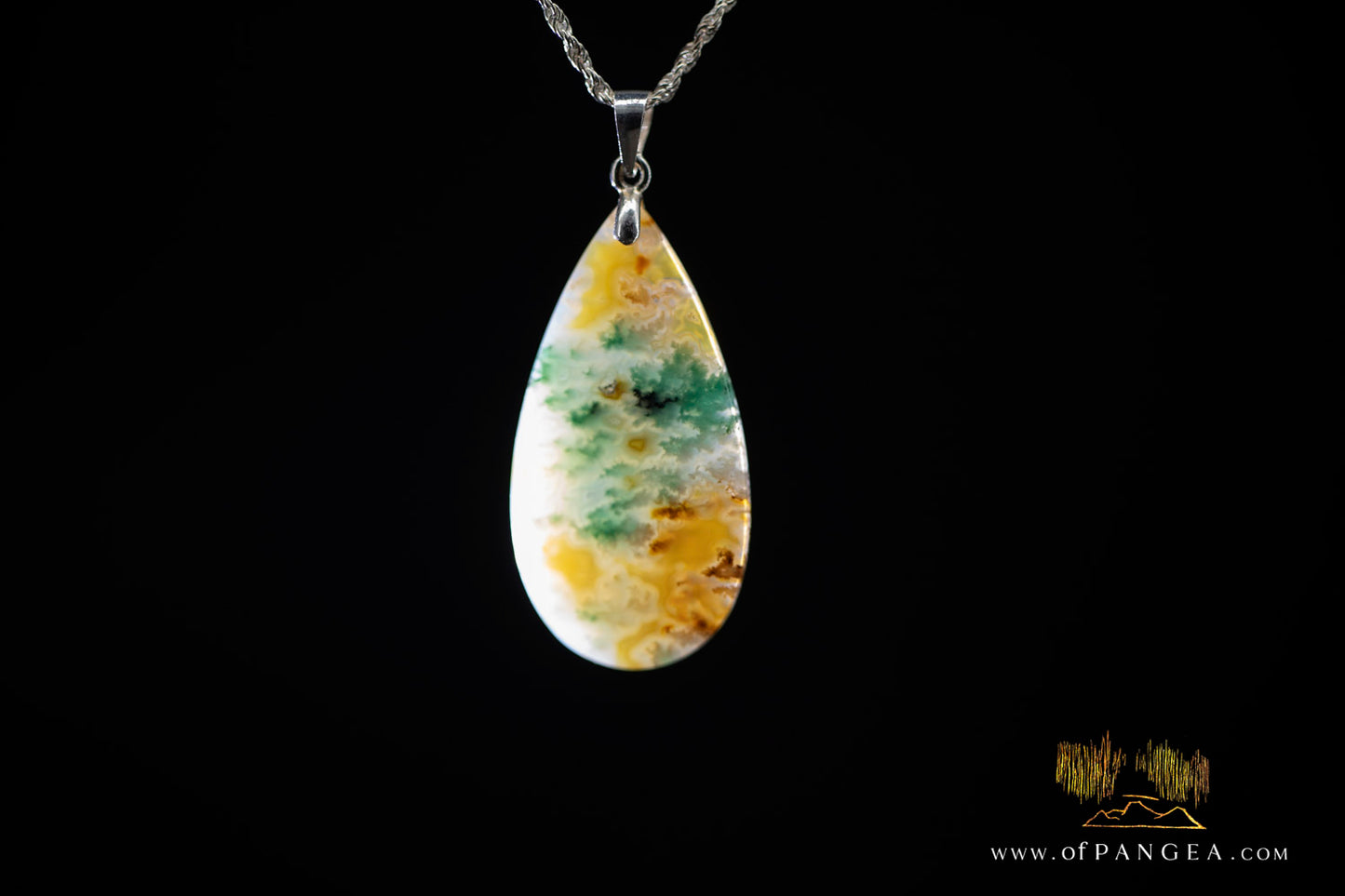 Opalized Petrified Wood Drop Pendant & Italian .925 sterling silver rope chain || JF1178