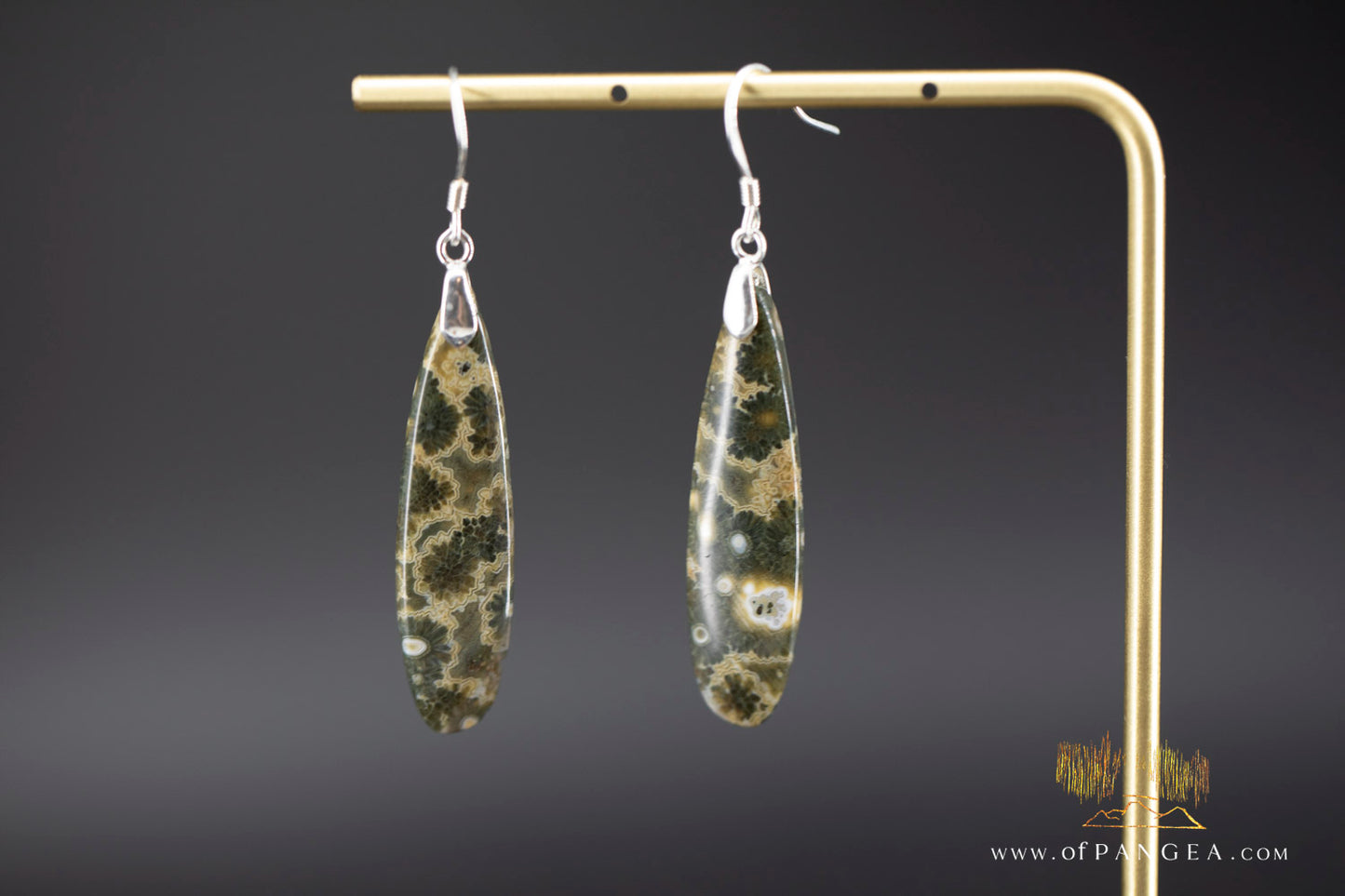 Ocean Jasper Drop earrings - Sterling Silver || JF1211