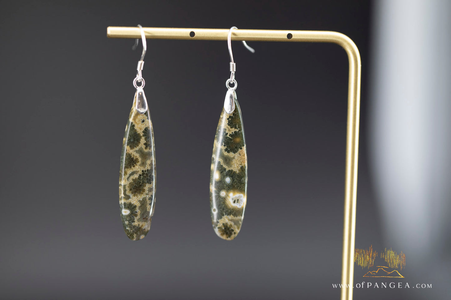 Ocean Jasper Drop earrings - Sterling Silver || JF1211
