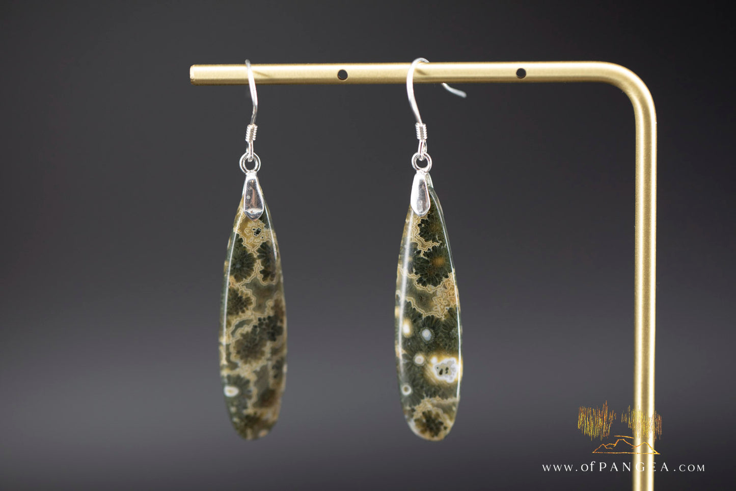 Ocean Jasper Drop earrings - Sterling Silver || JF1211