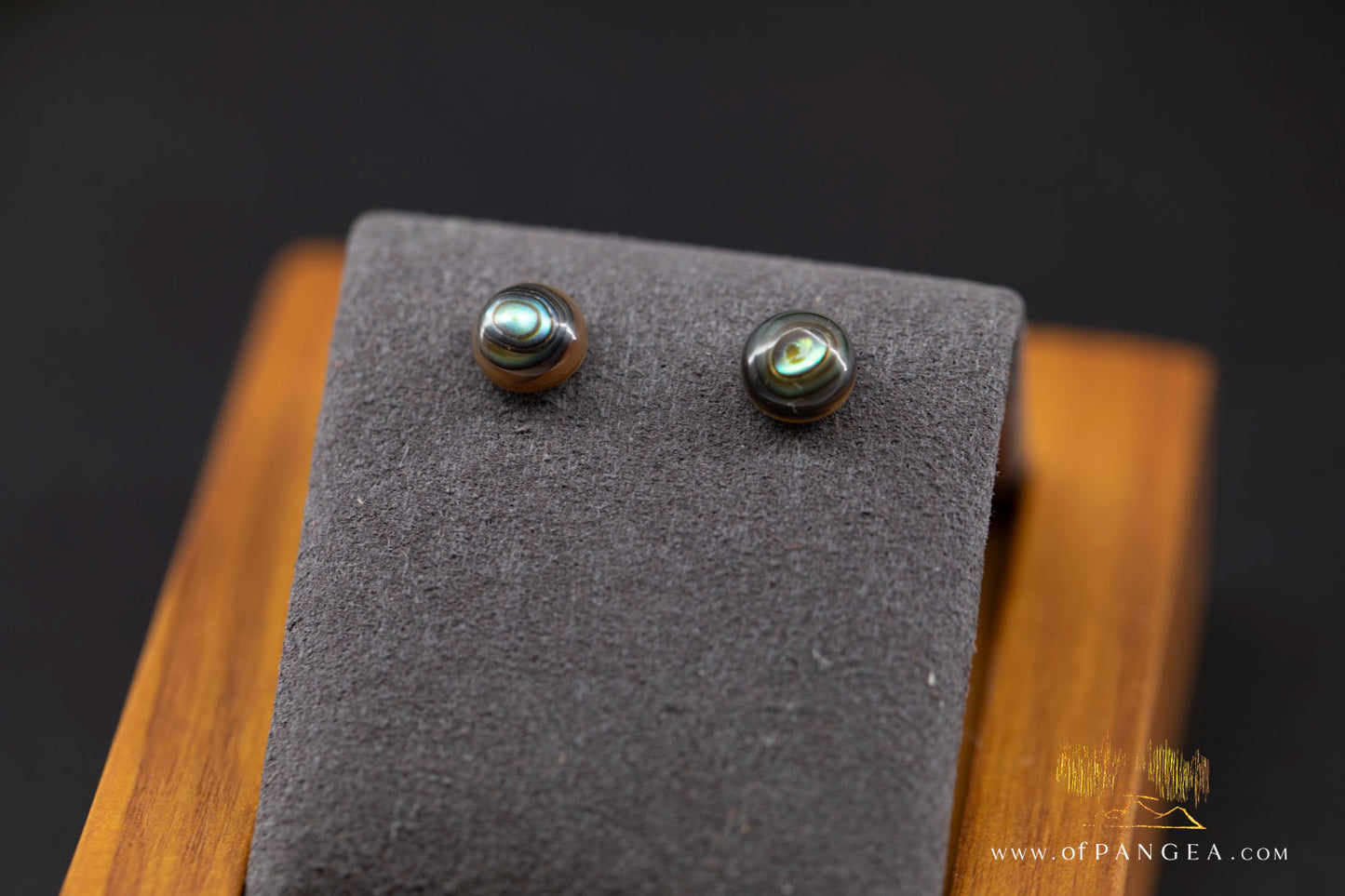 Abalone Stud Earrings - 6mm Abalone and 0.925 Sterling Silver