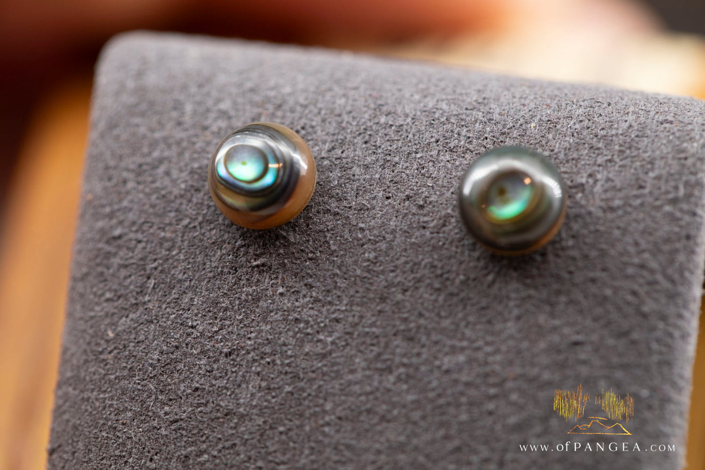 Abalone Stud Earrings - 6mm Abalone and 0.925 Sterling Silver