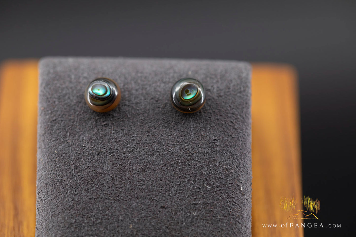 Abalone Stud Earrings - 6mm Abalone and 0.925 Sterling Silver