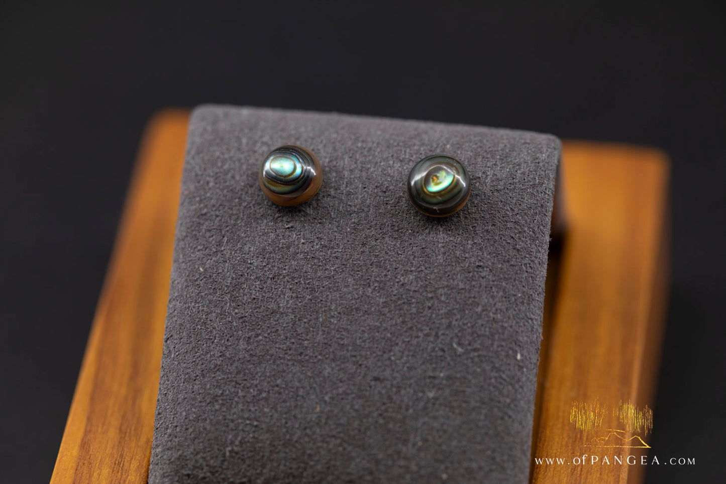 Abalone Stud Earrings - 6mm Abalone and 0.925 Sterling Silver