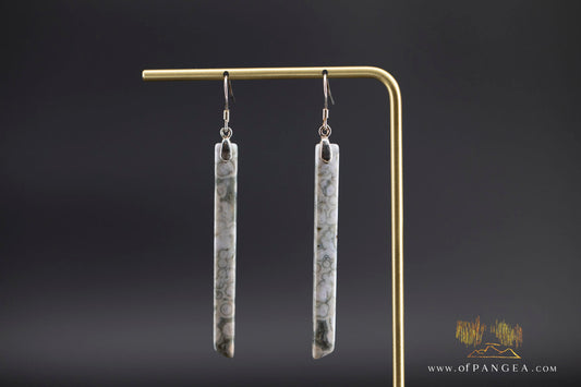 Ocean Jasper Pillar earrings - Sterling Silver || JF1246