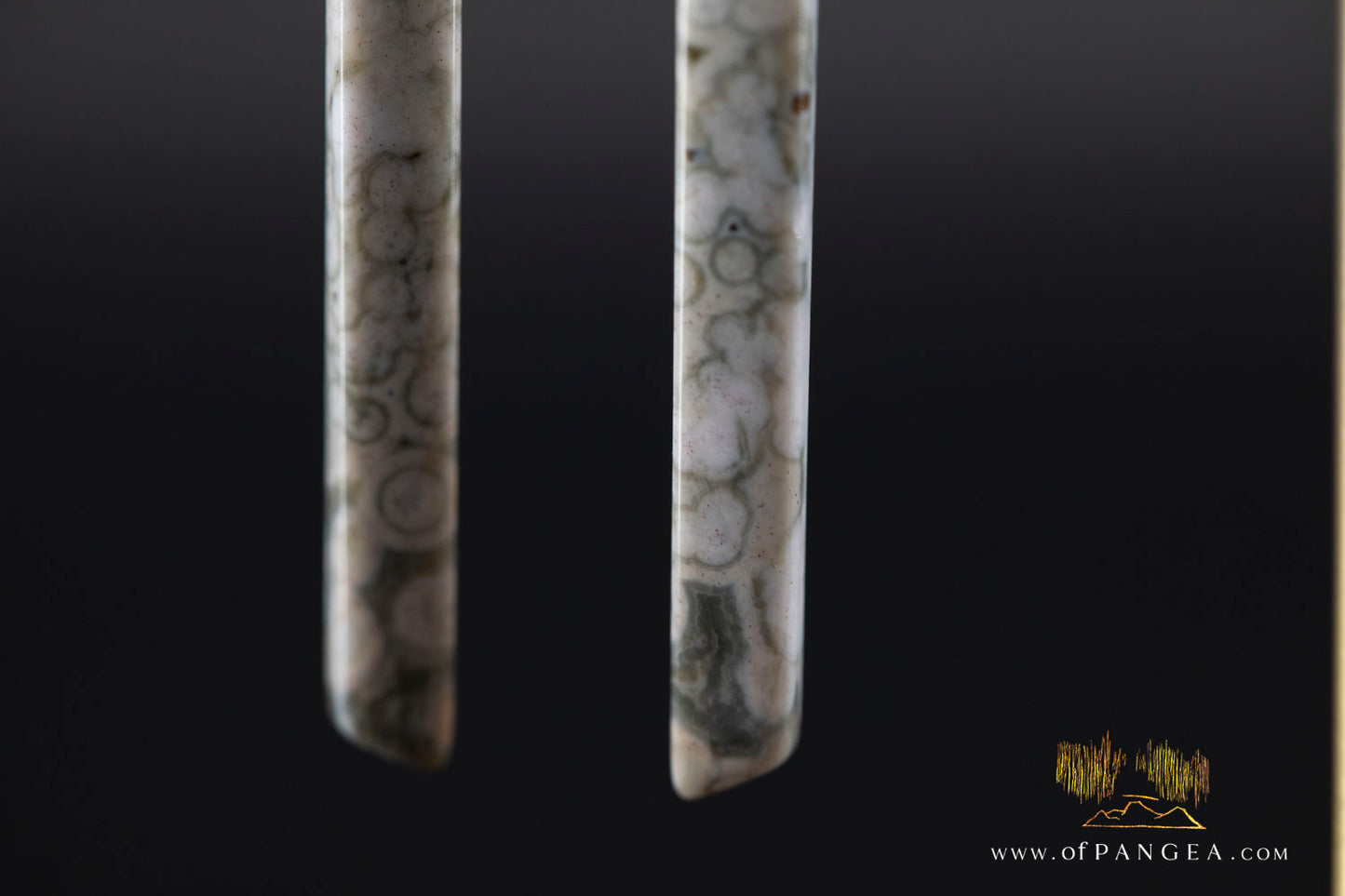 Ocean Jasper Pillar earrings - Sterling Silver || JF1246
