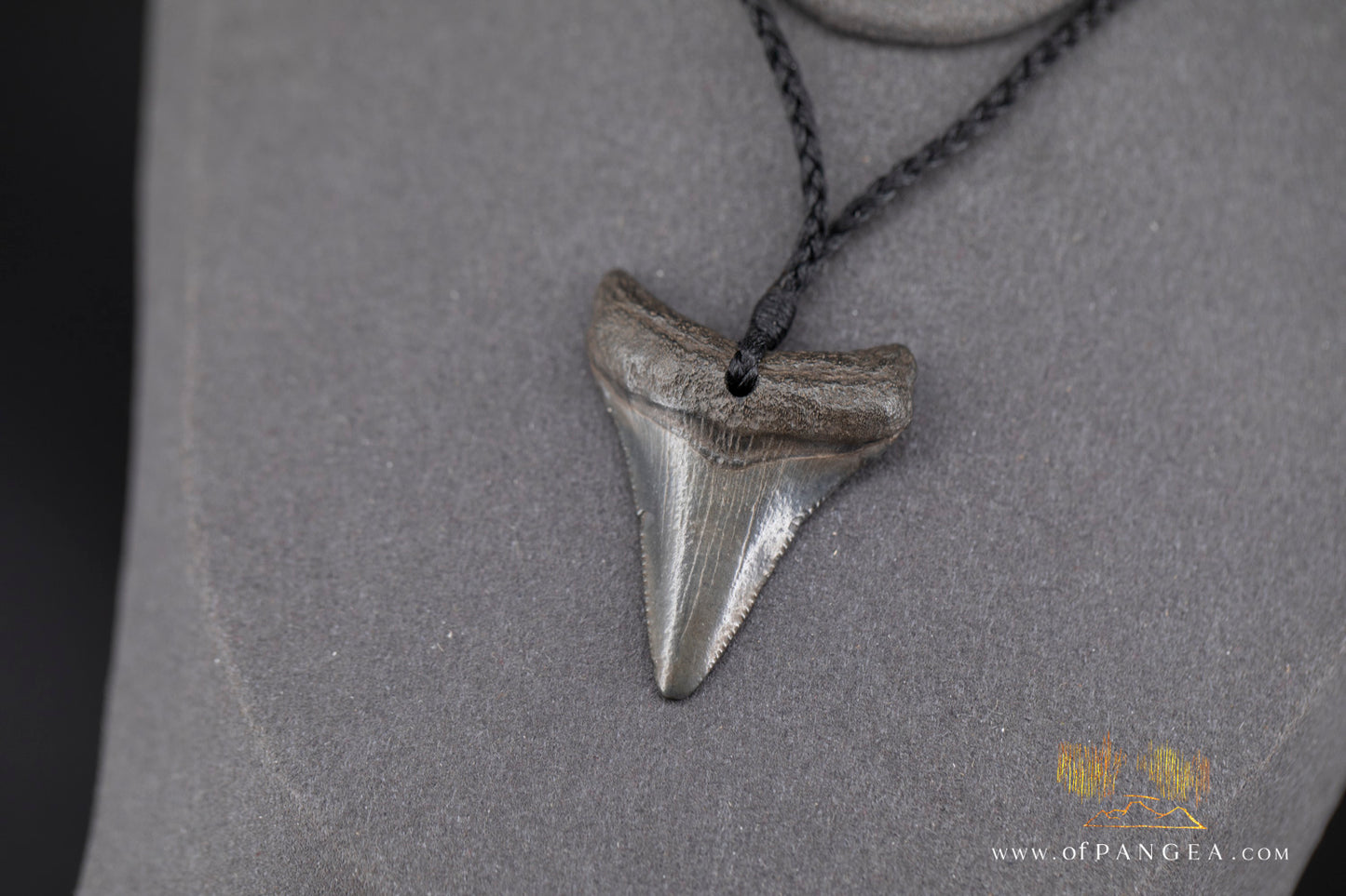Fossilized Mako Shark Tooth Necklace || JF1352