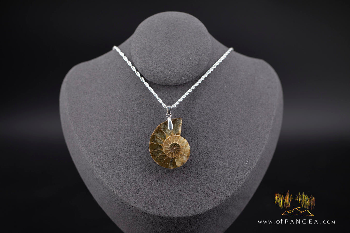 Fossilized Golden Per-mineralized Ammonite Necklace - Italian sterling silver || JF1356