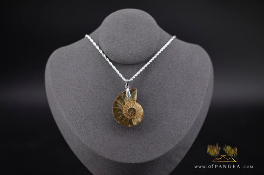 Fossilized Golden Per-mineralized Ammonite Necklace - Italian sterling silver || JF1356
