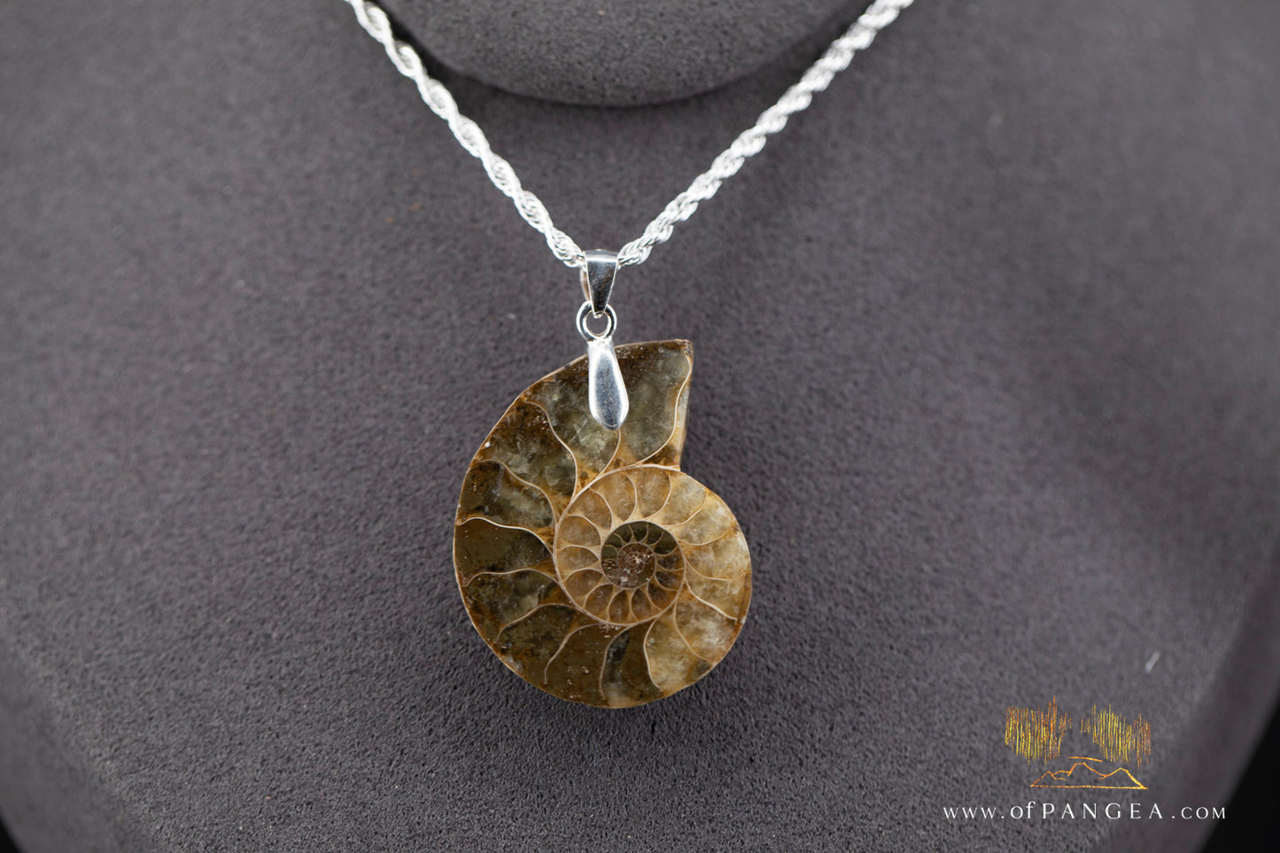 Fossilized Golden Per-mineralized Ammonite Necklace - Italian sterling silver || JF1356