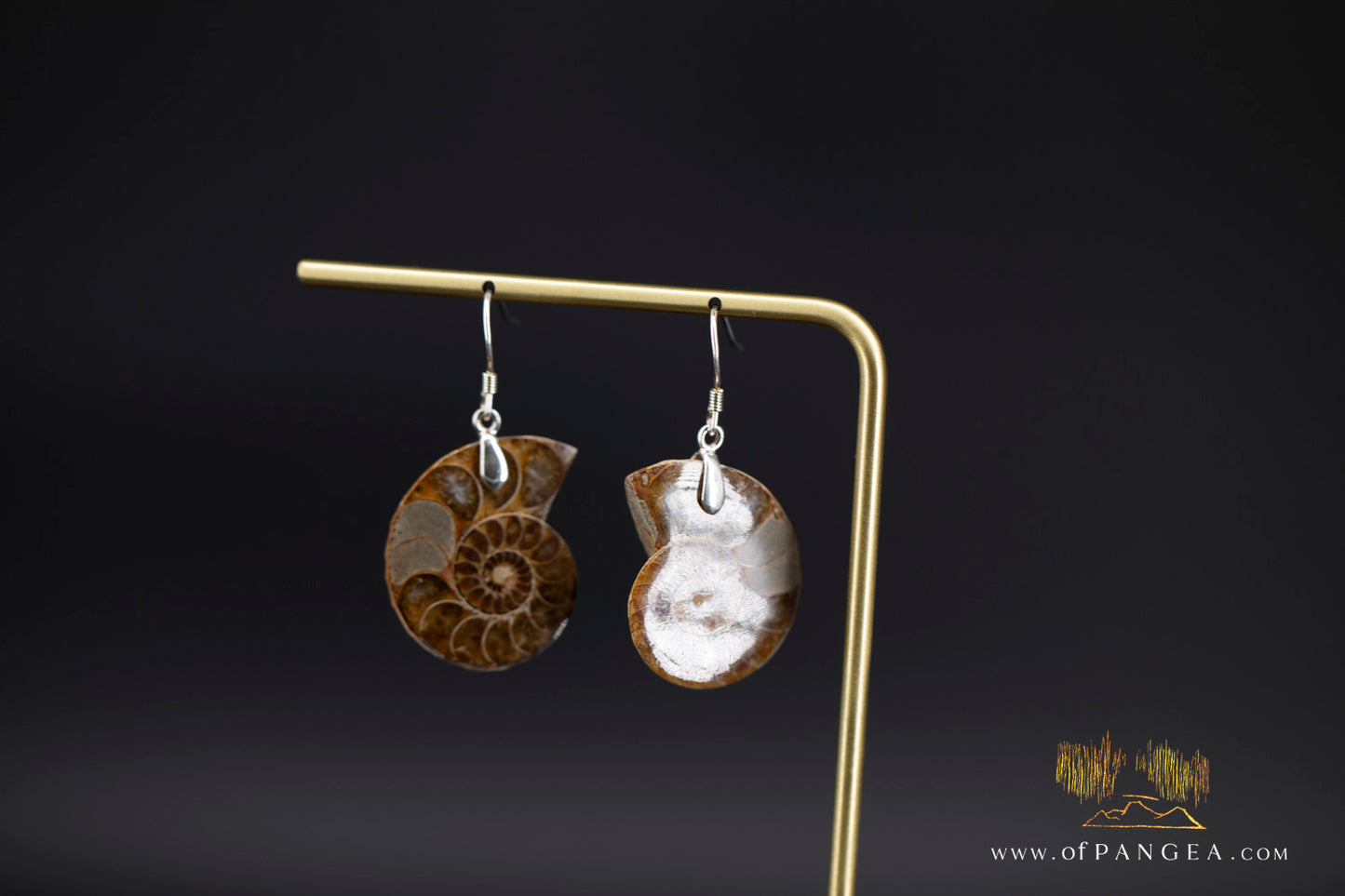 Per-mineralized Ammonite Half Earrings - Medium sterling silver || JF1357