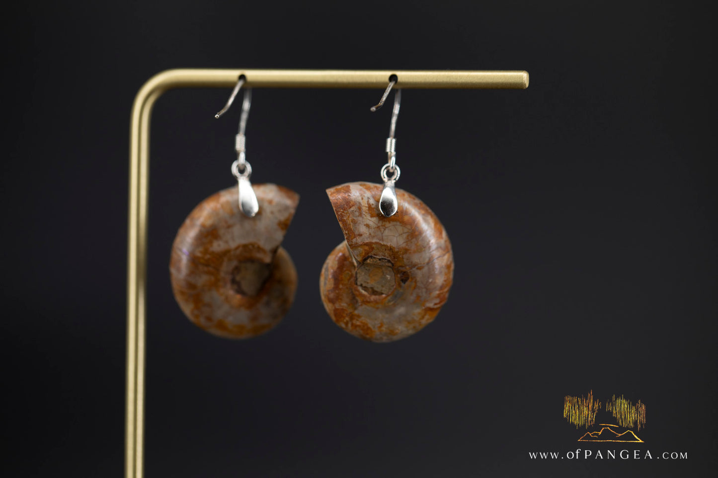 Per-mineralized Ammonite Half Earrings - Medium sterling silver || JF1357
