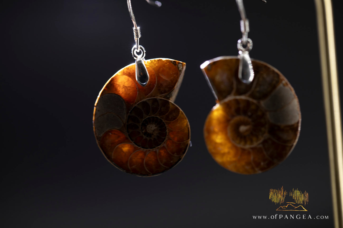Per-mineralized Ammonite Half Earrings - Medium sterling silver || JF1357
