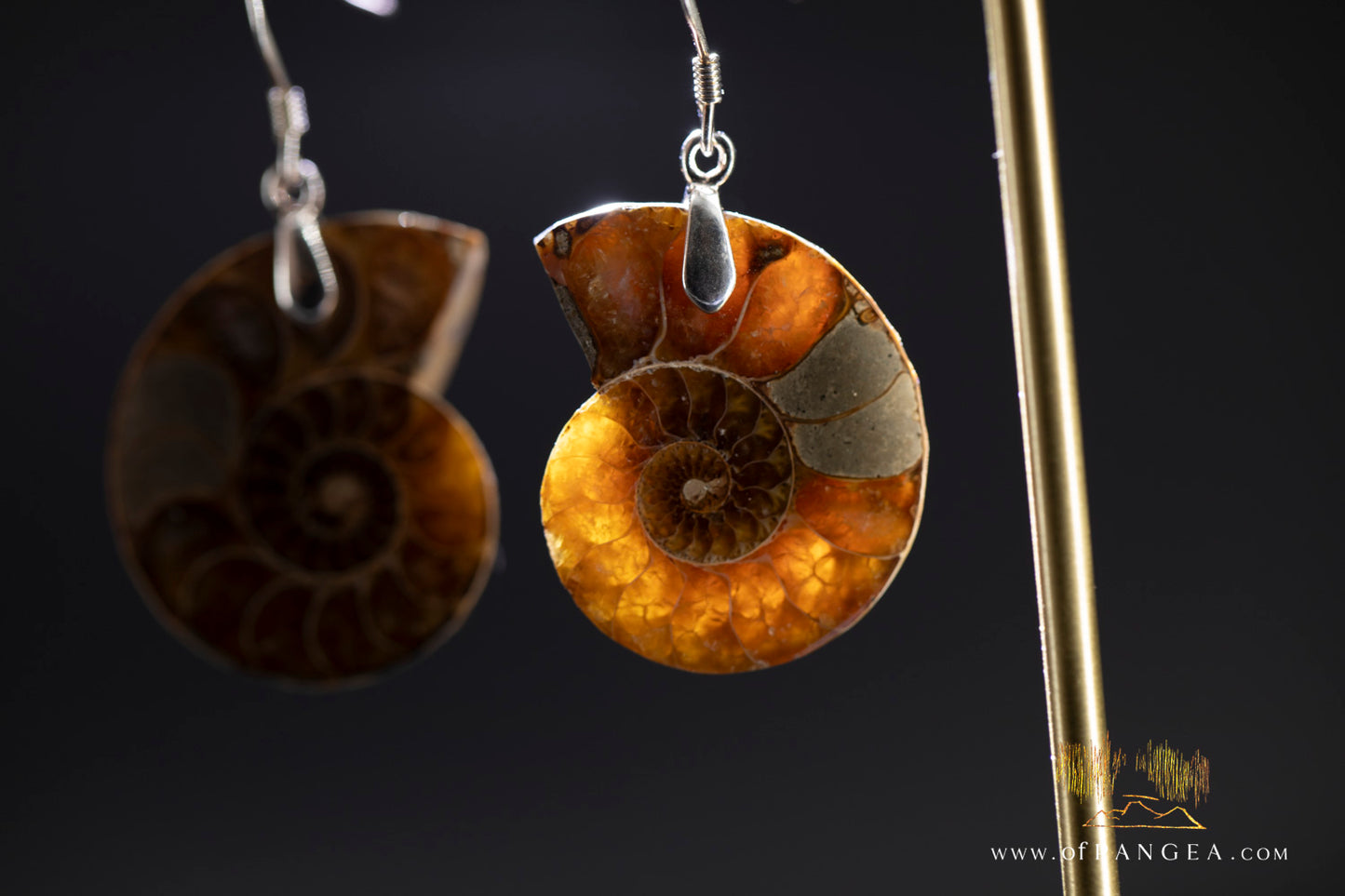 Per-mineralized Ammonite Half Earrings - Medium sterling silver || JF1357