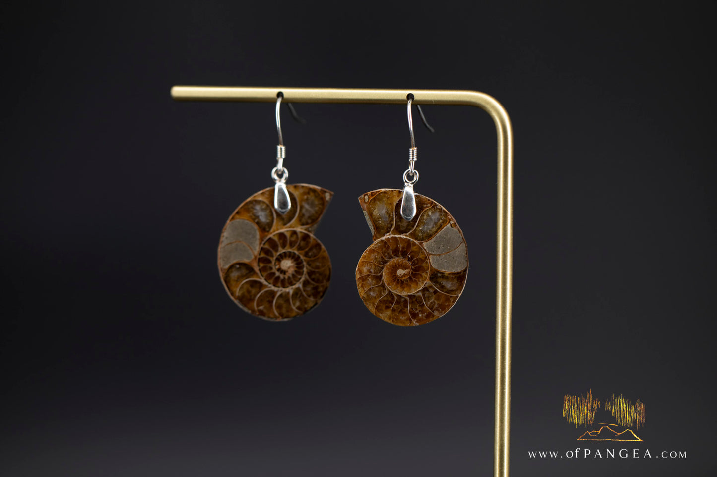 Per-mineralized Ammonite Half Earrings - Medium sterling silver || JF1357