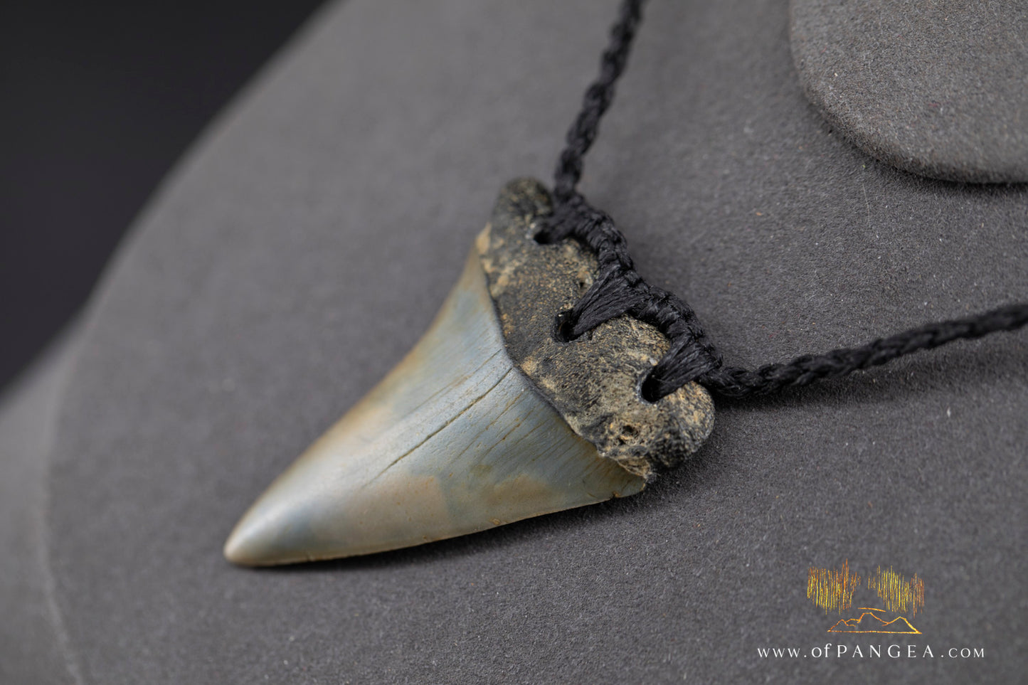 Fossilized Mako Shark Tooth Necklace || JF1359