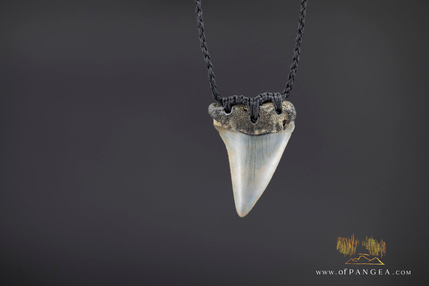 Fossilized Mako Shark Tooth Necklace || JF1359
