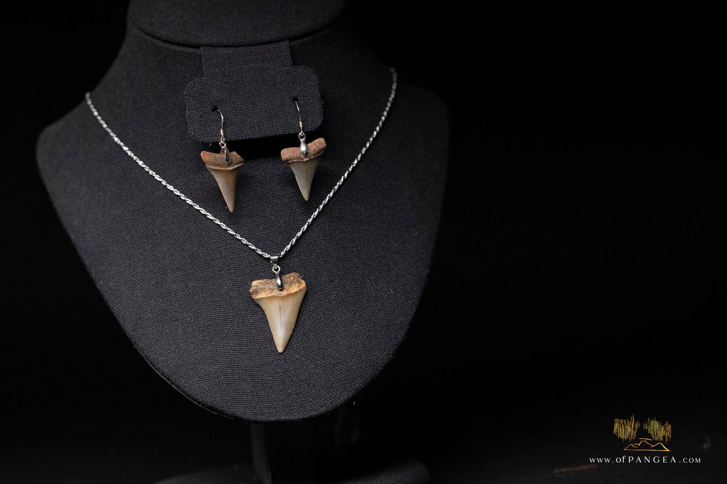 Fossilized Mako Shark Teeth - Necklace and Earring Set - Sterling Silver 1.3mm rope chain
