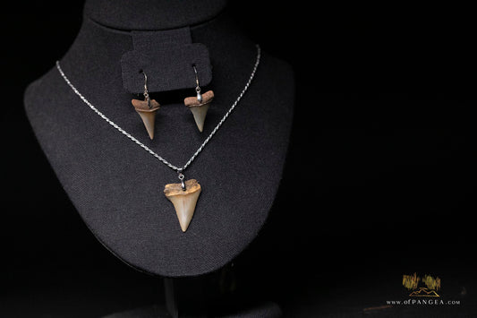 Fossilized Mako Shark Teeth - Necklace and Earring Set - Sterling Silver 1.3mm rope chain
