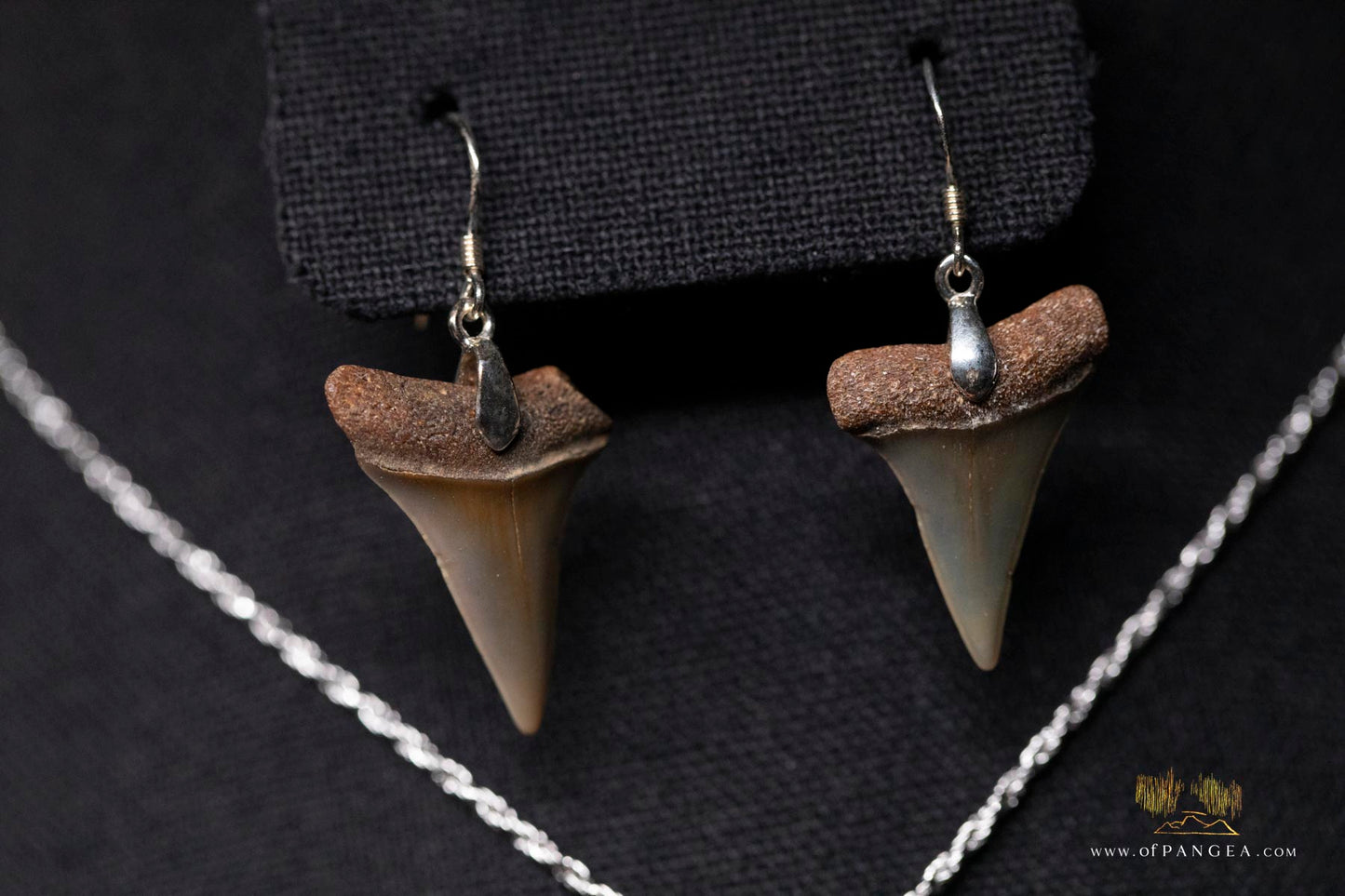 Fossilized Mako Shark Teeth - Necklace and Earring Set - Sterling Silver 1.3mm rope chain
