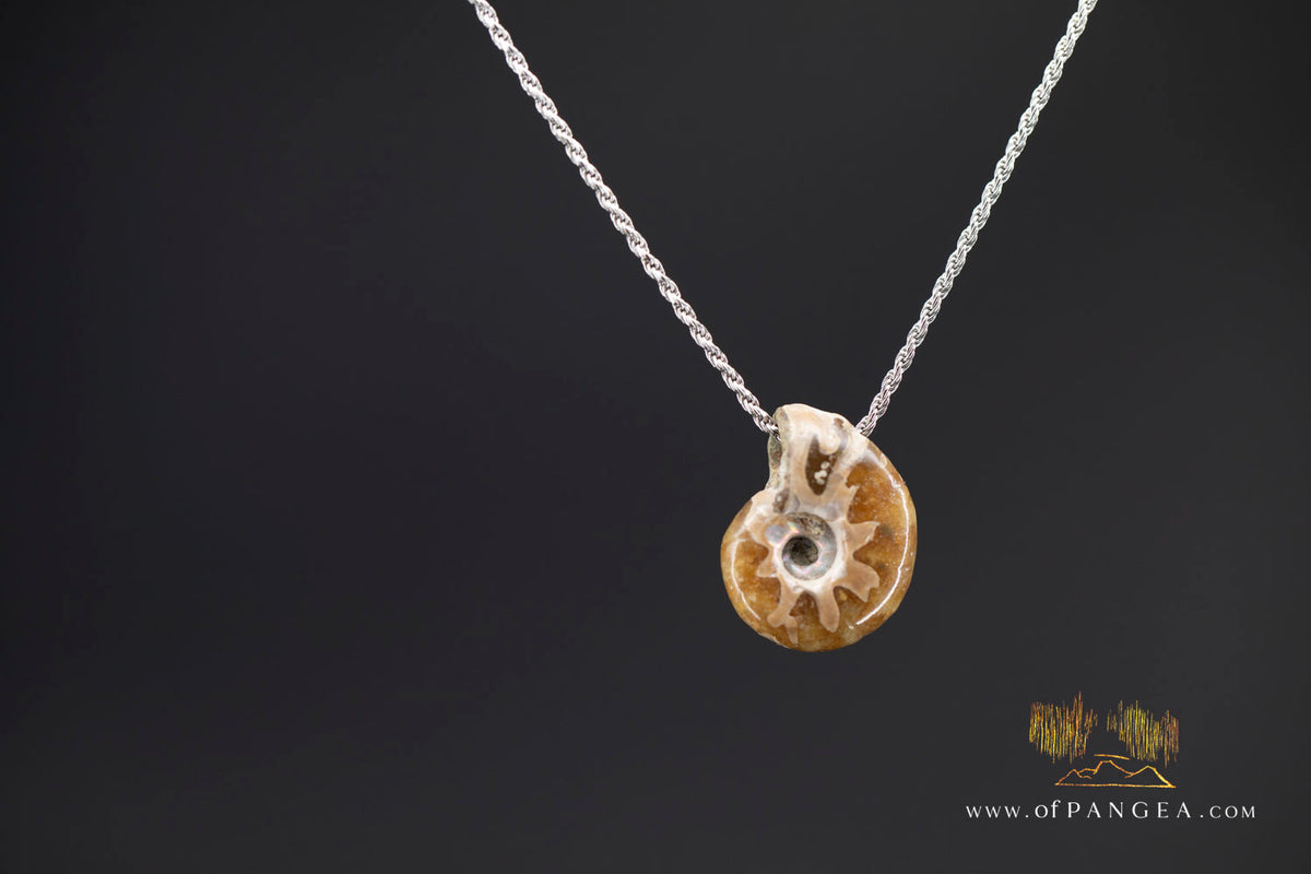 Fossilized Per-mineralized Ammonite Necklace - Italian sterling silver || JF1718