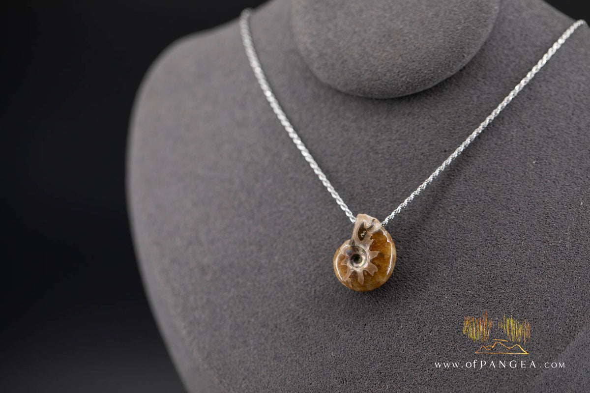 Fossilized Per-mineralized Ammonite Necklace - Italian sterling silver || JF1718