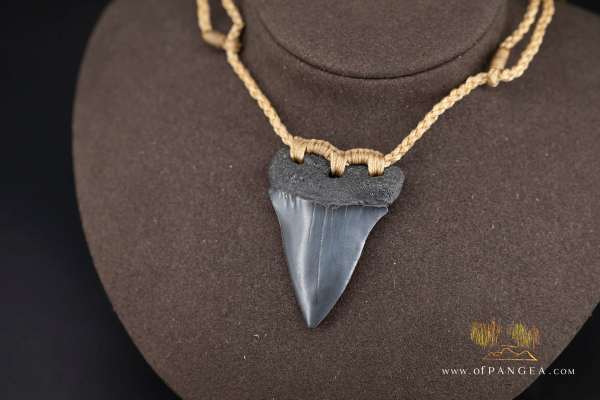 Fossilized Mako Shark Tooth Necklace || JF1732
