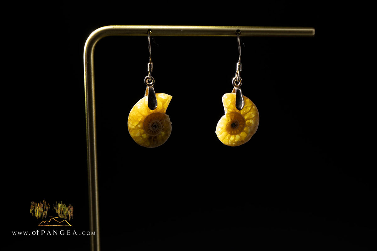 Per-mineralized Ammonite Half Earrings - (Small) sterling silver || JF1777