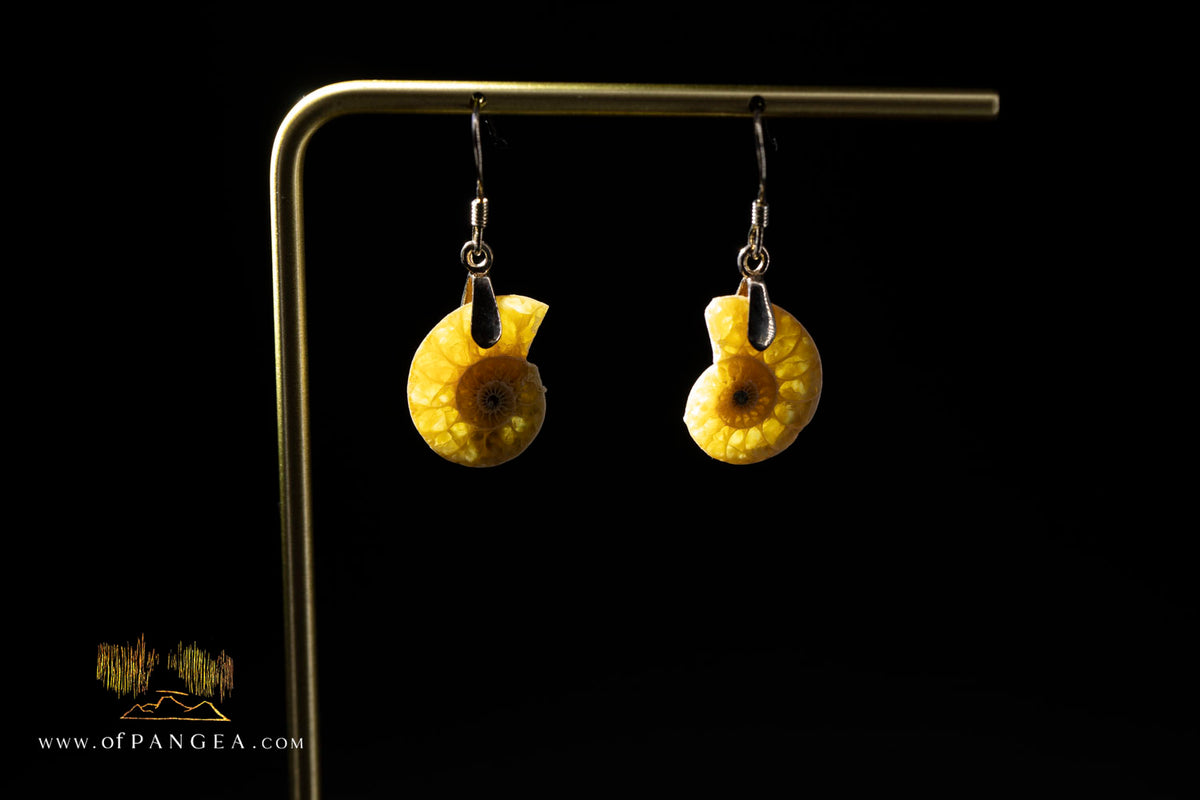 Per-mineralized Ammonite Half Earrings - (Small) sterling silver || JF1777
