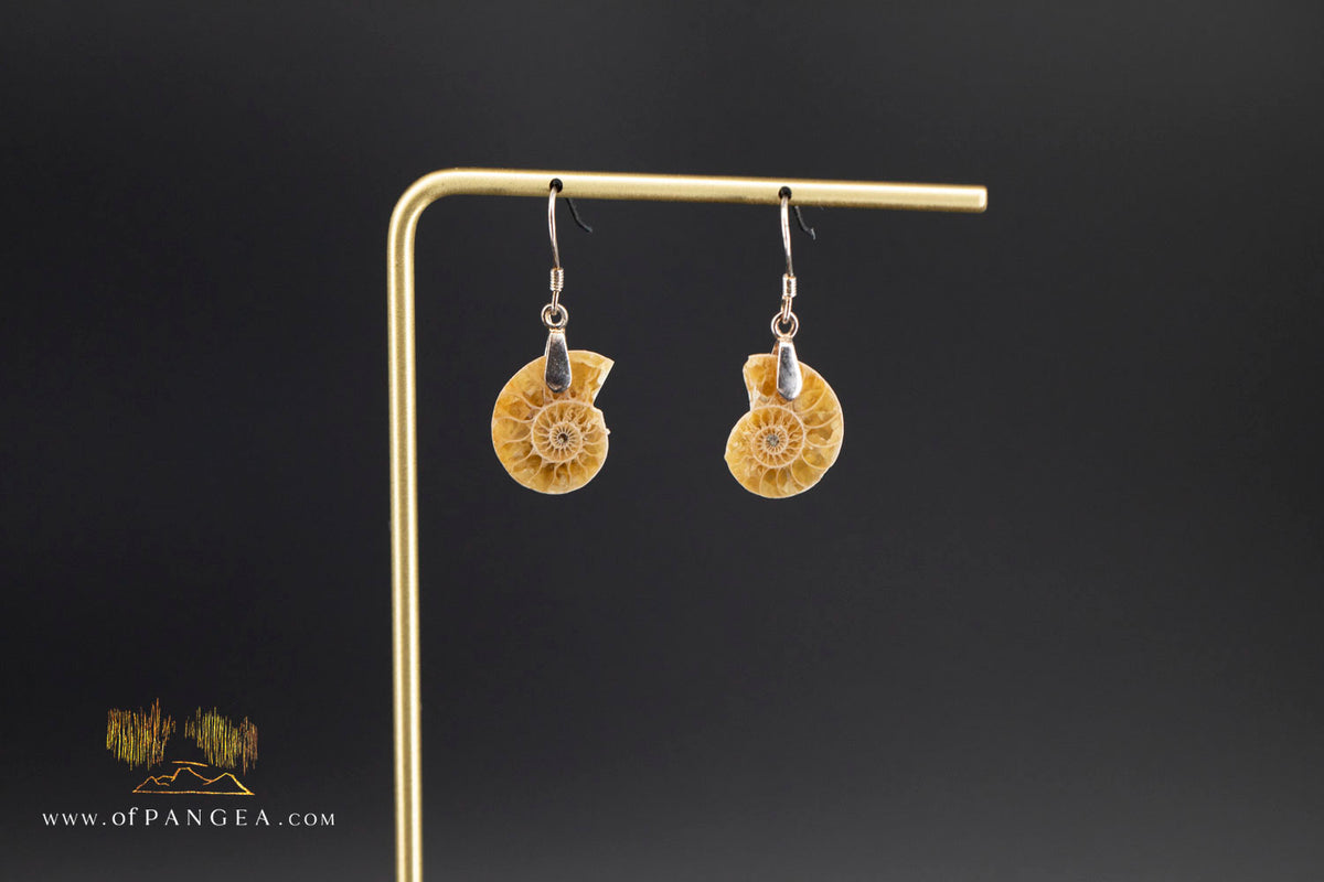 Per-mineralized Ammonite Half Earrings - (Small) sterling silver || JF1777