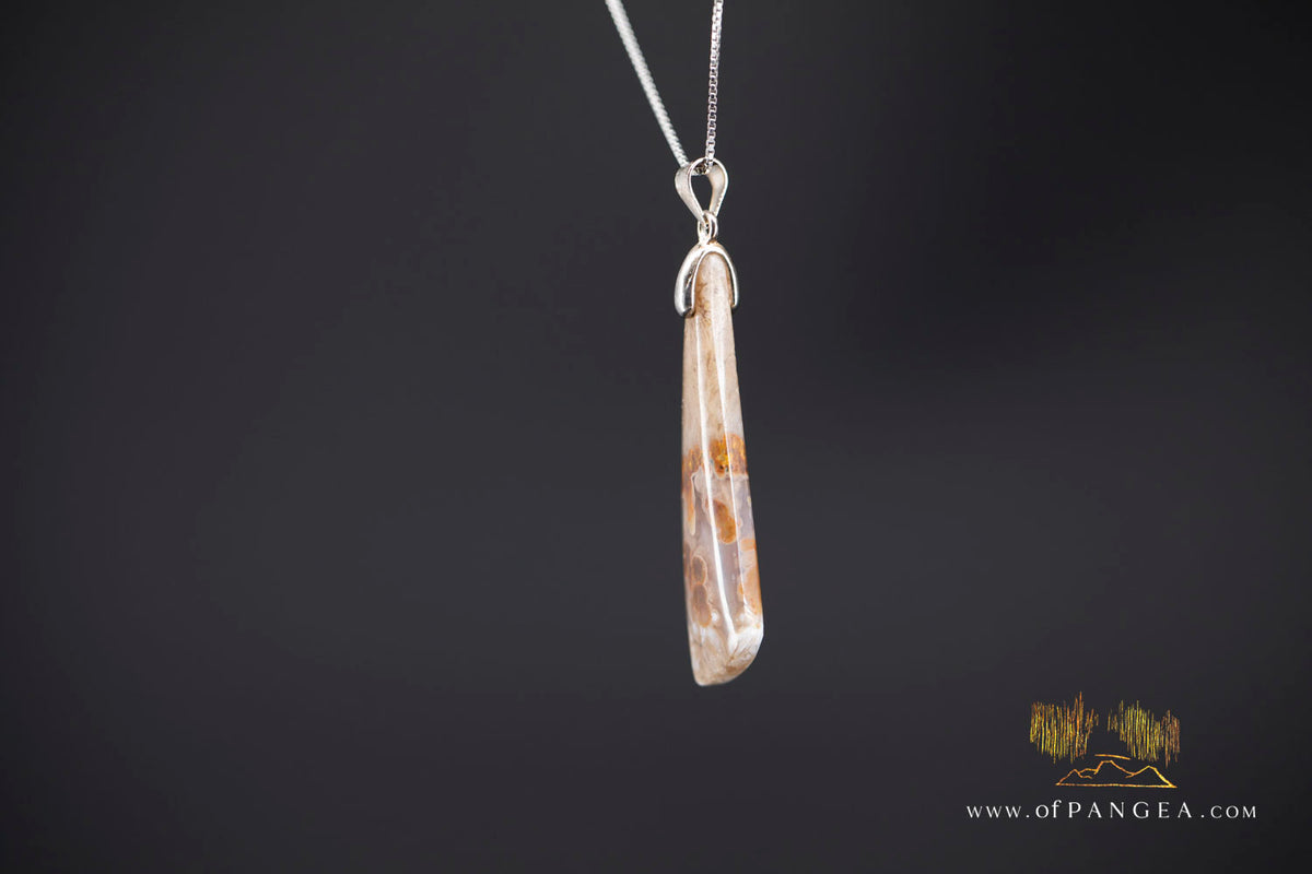 Petrified Wood Drop Pendant & 18inch Italian .925 sterling silver box chain || JF1780