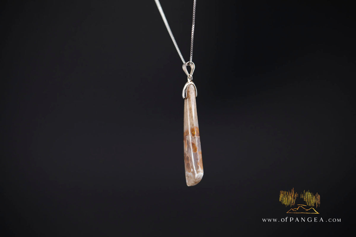 Petrified Wood Drop Pendant & 18inch Italian .925 sterling silver box chain || JF1780