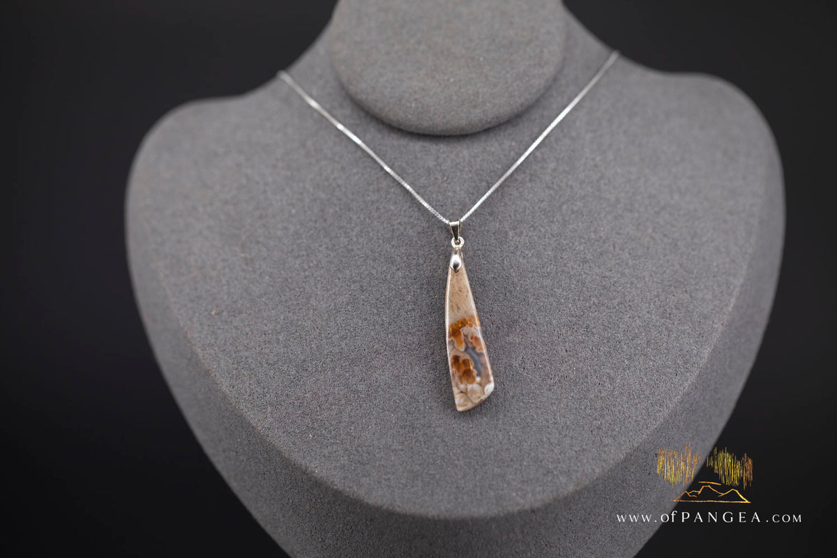 Petrified Wood Drop Pendant & 18inch Italian .925 sterling silver box chain || JF1780