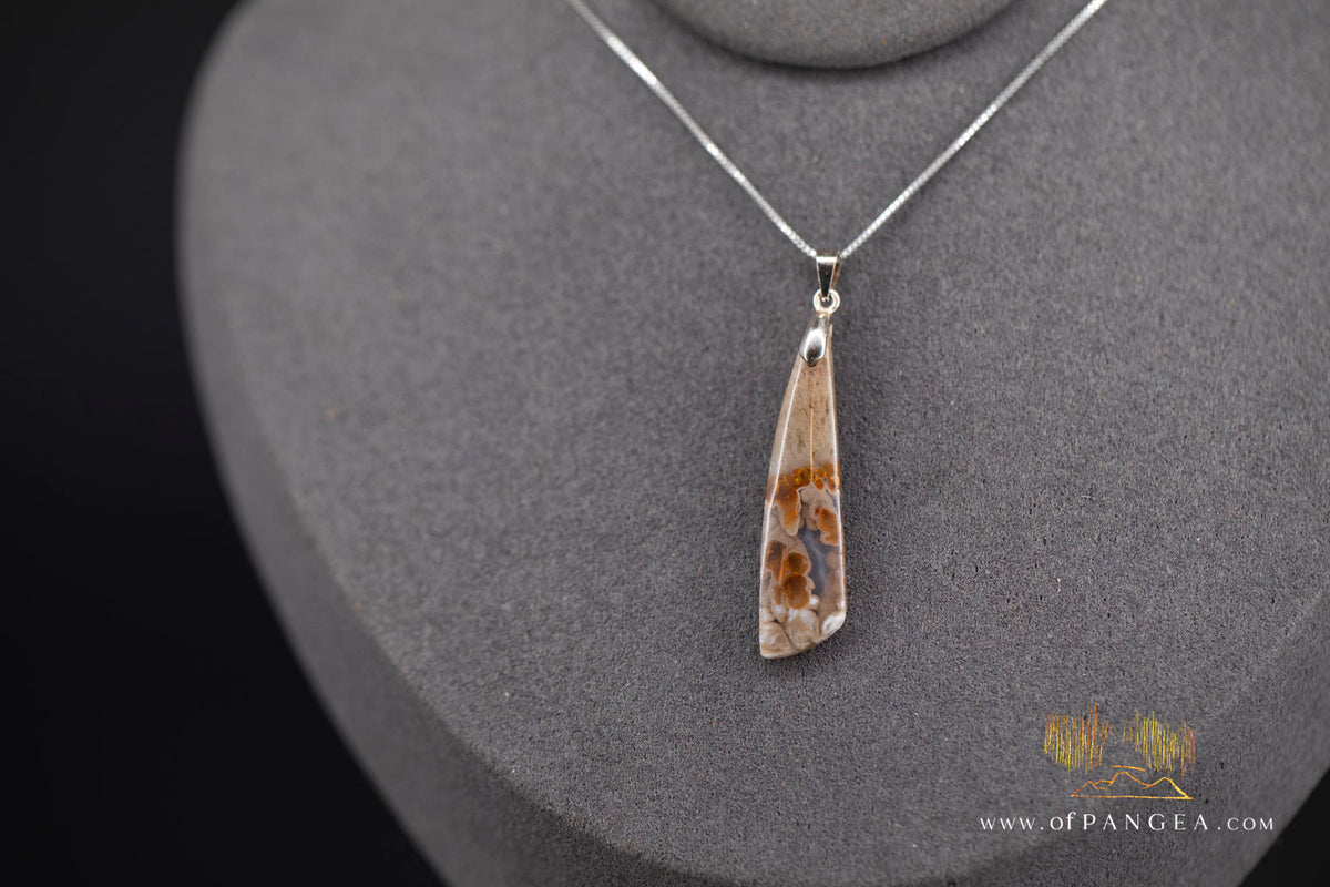 Petrified Wood Drop Pendant & 18inch Italian .925 sterling silver box chain || JF1780