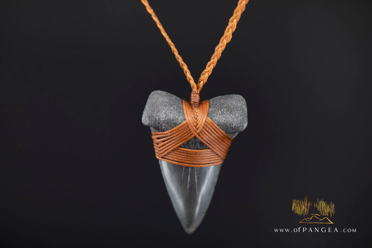 Fossilized Mako Shark Tooth Necklace || JF1831