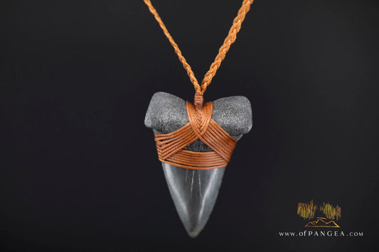 Fossilized Mako Shark Tooth Necklace || JF1831