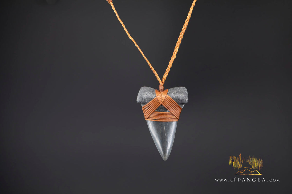 Fossilized Mako Shark Tooth Necklace || JF1831