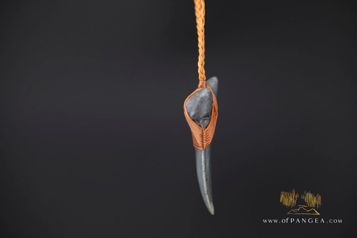 Fossilized Mako Shark Tooth Necklace || JF1831