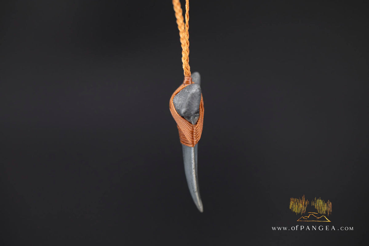 Fossilized Mako Shark Tooth Necklace || JF1831