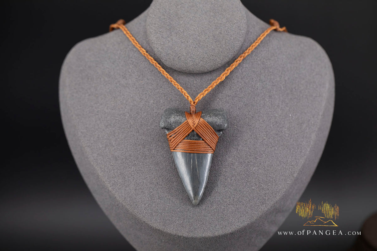 Fossilized Mako Shark Tooth Necklace || JF1831