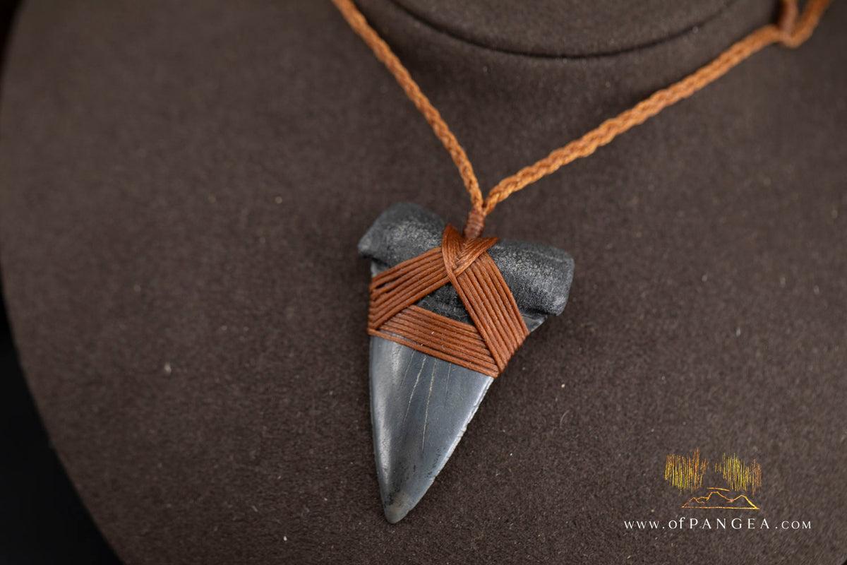 Fossilized Mako Shark Tooth Necklace || JF1831