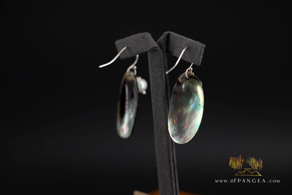 Paua Abalone Oval earrings & AAA Pearl - sterling silver || JF1846