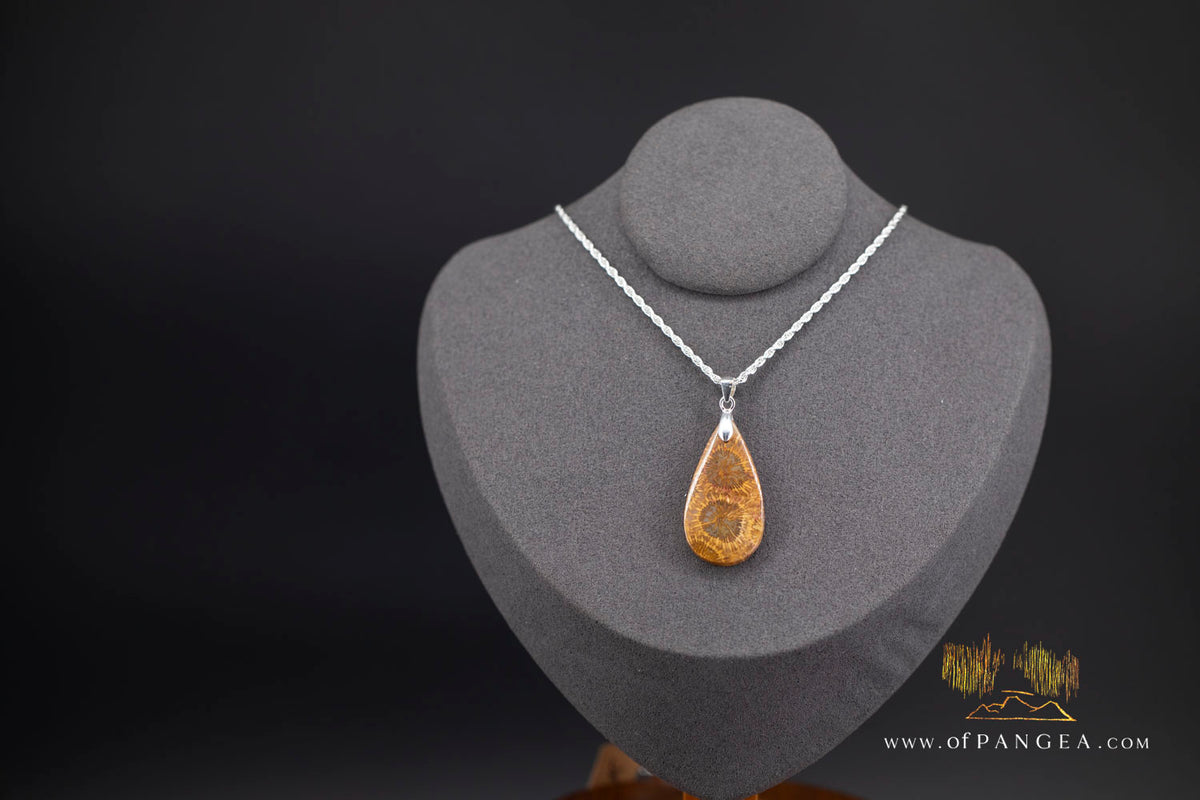 Fossil Coral Teardrop Agatized - Necklace - Sterling Silver || JF1859