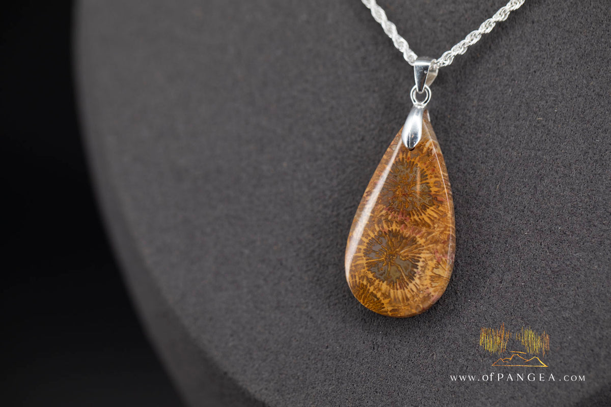 Fossil Coral Teardrop Agatized - Necklace - Sterling Silver || JF1859