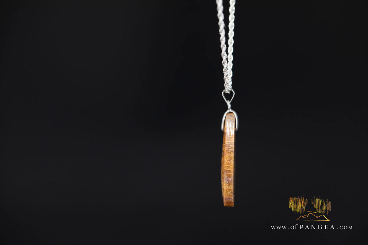 Fossil Coral Teardrop Agatized - Necklace - Sterling Silver || JF1859