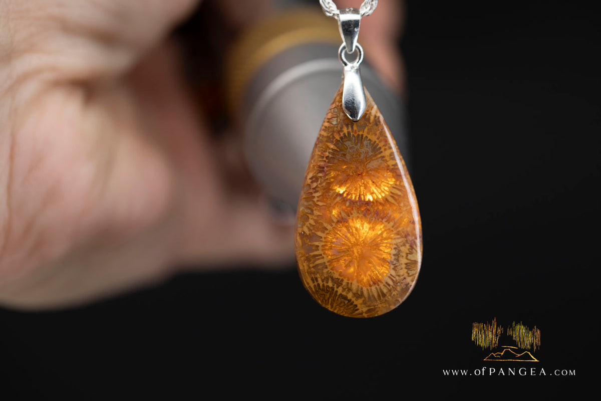 Fossil Coral Teardrop Agatized - Necklace - Sterling Silver || JF1859