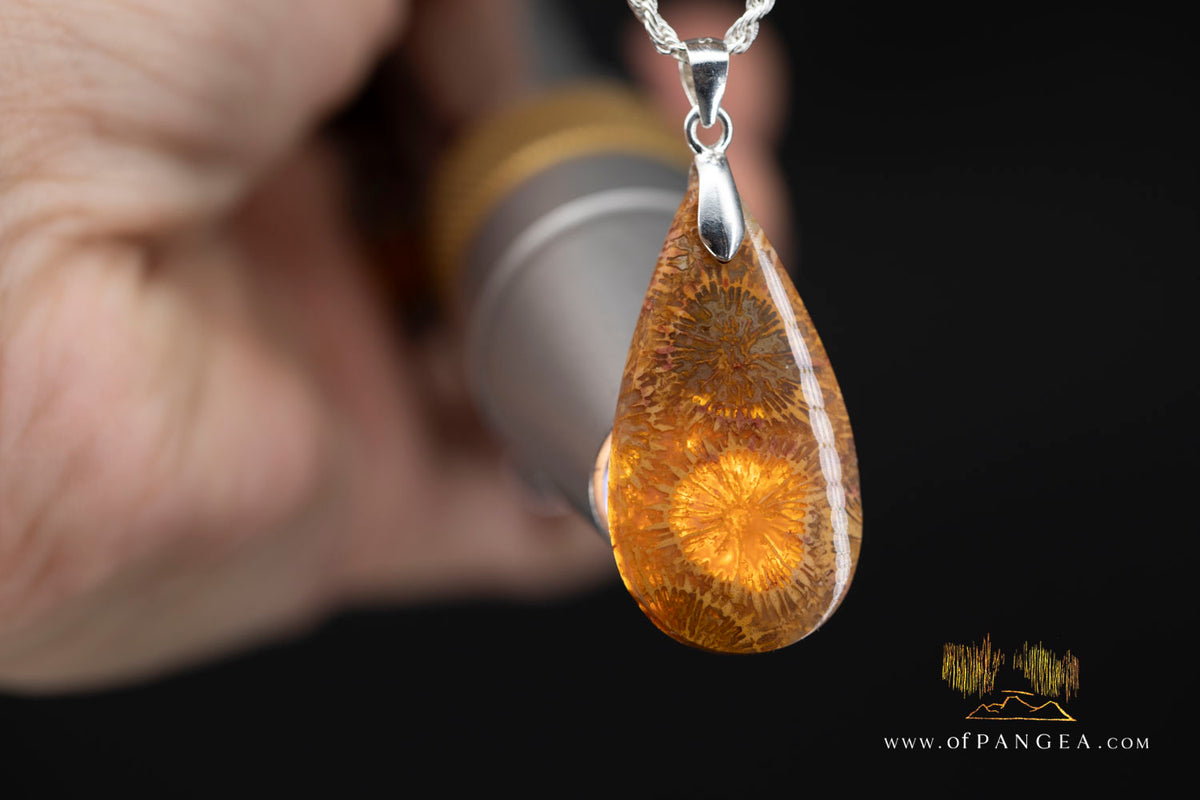 Fossil Coral Teardrop Agatized - Necklace - Sterling Silver || JF1859