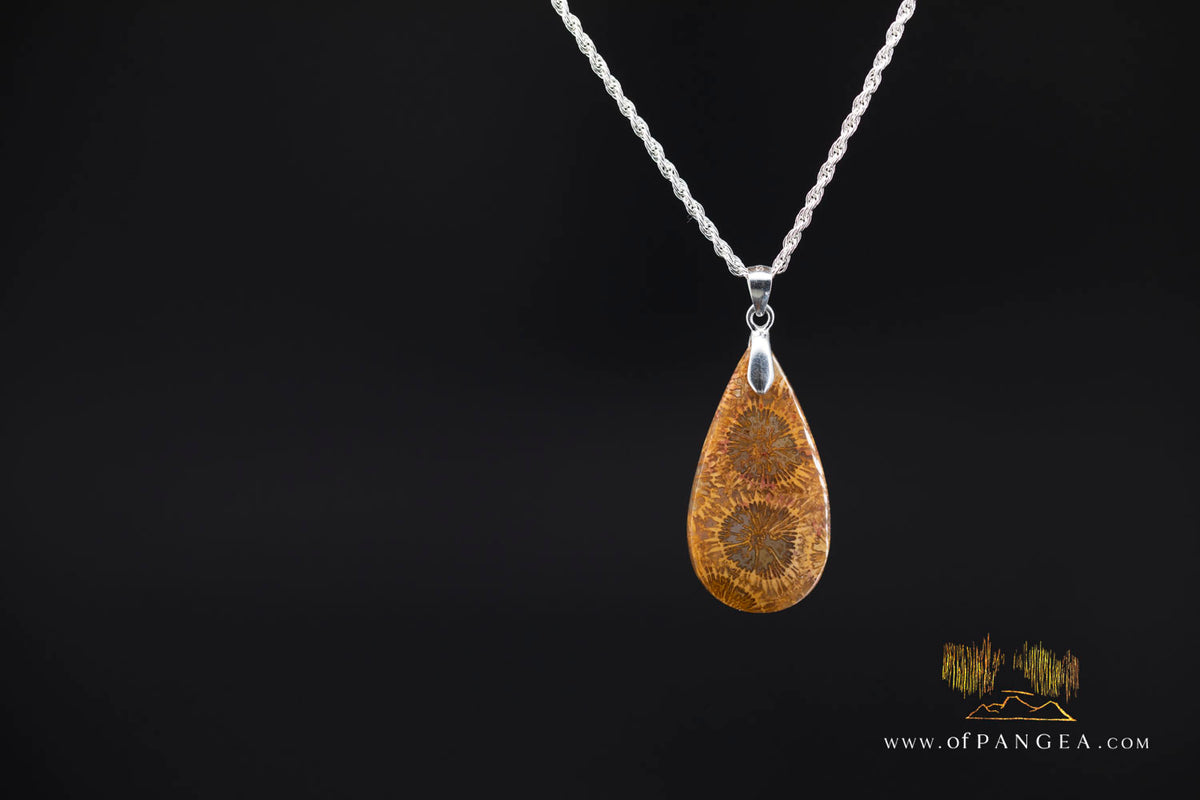 Fossil Coral Teardrop Agatized - Necklace - Sterling Silver || JF1859